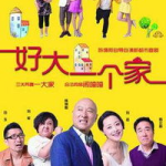 好大一个家 电视剧,温情岁月里的家族传奇