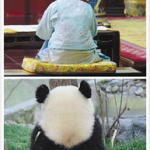 娱乐圈吃瓜群众是谁呀,揭秘网络时代的围观者与传播者