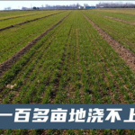 官方回应土地浇地难,确保农业生产顺利进行