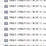 坠子书mp3免费下载,尽享传统戏曲魅力